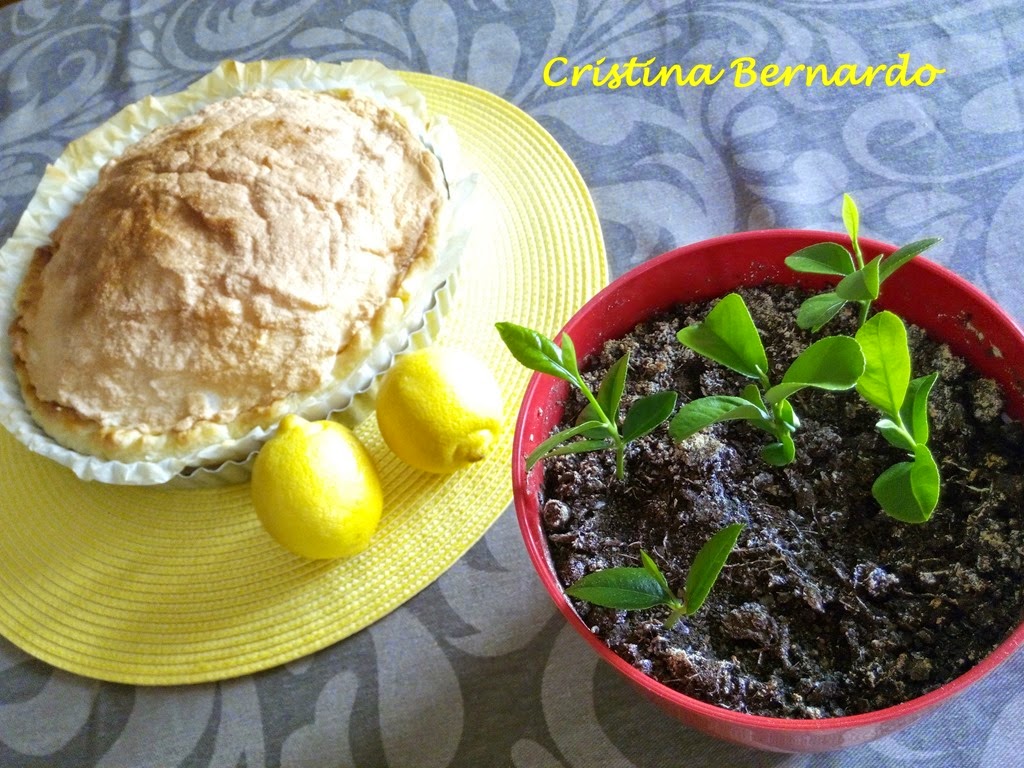 [2014-11-15%252011.44.22%255B4%255D.jpg]