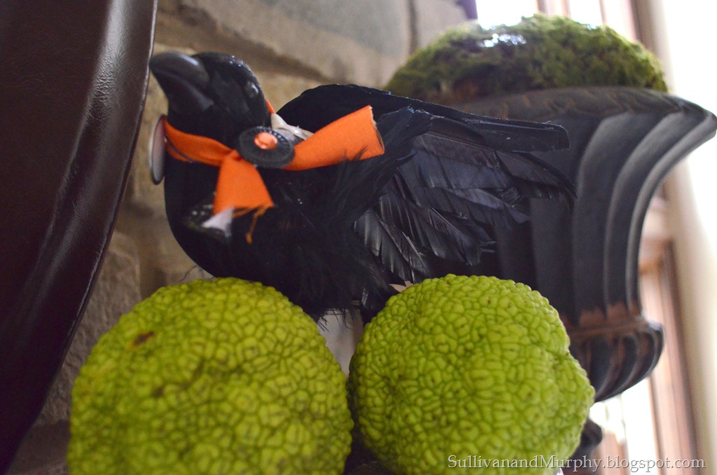 [crow%2520with%2520ribbon%255B3%255D.jpg]