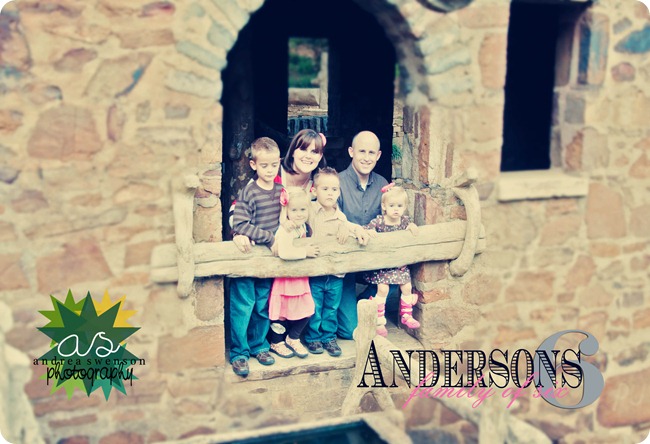 Andersons cr-29