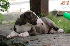 Karmacoma Shadowplay 7 weeks