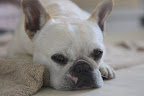 I am so drained from the heat, I can barely....