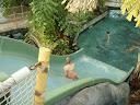 P8290090.JPG