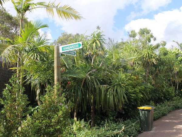 [IMG_0294_resize5.jpg]