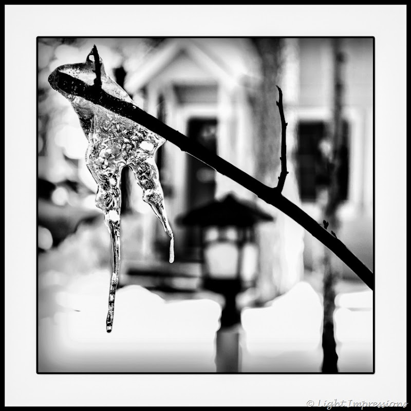 Light Impressions-Icicle
