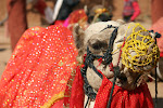 Shilpgram, India 049.JPG