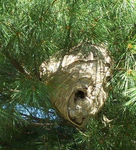 [153_5519%255B3%255D.jpg]