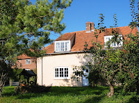 Tadpoles, October 2007