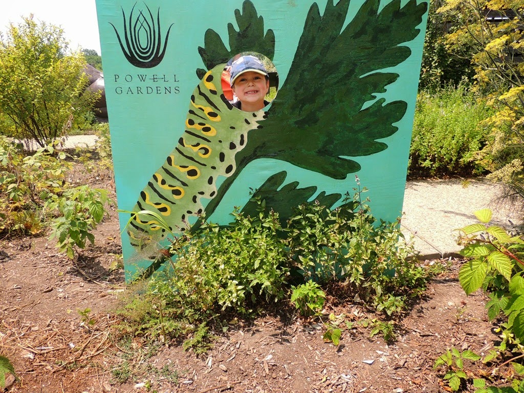 [DSCN9706%255B3%255D.jpg]