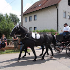 singold-bote_100718135538.jpg