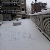 DSC00308.JPG