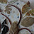 DSC06741-1.JPG