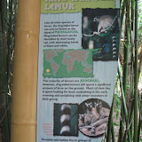 The ring tailed lemur sign at the Nashville Zoo 09032011