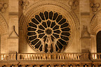 The west Rose Window at night