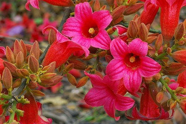 [aaa-B-discolor2.jpg]