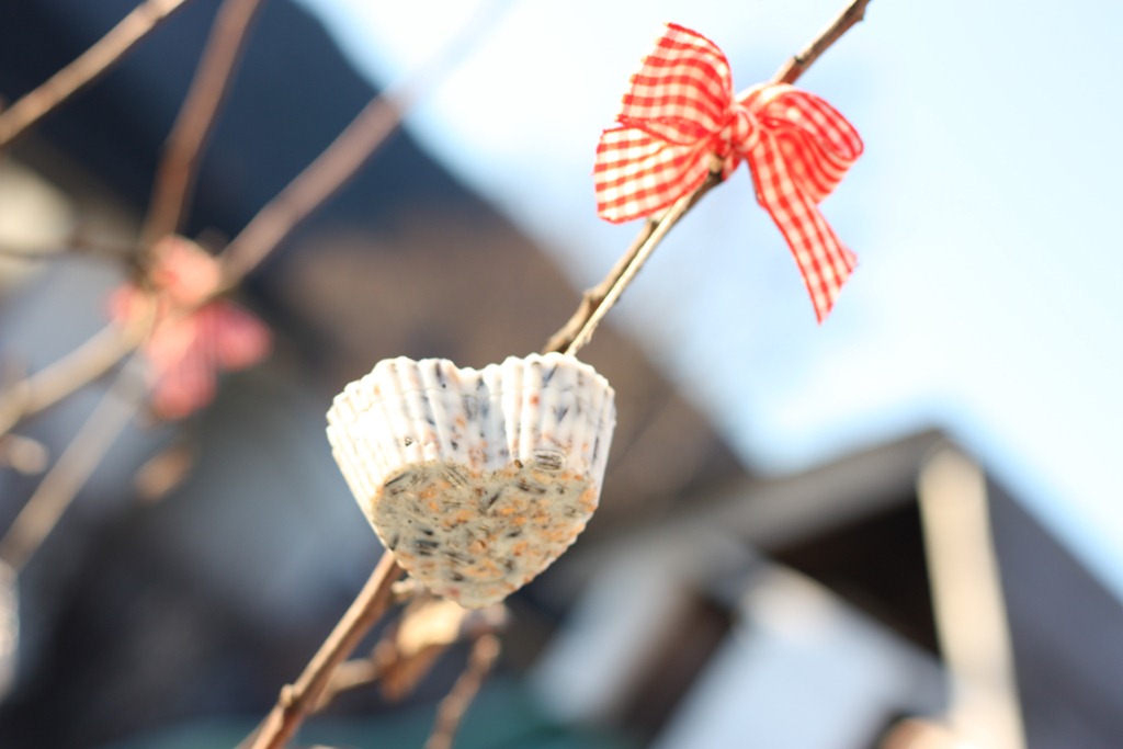 [IMG_1704%255B4%255D.jpg]