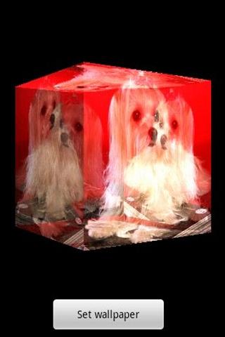 3D cute dog A6