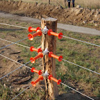V jeseníkách na farmě paní Bečičkové - 2006,areál Buková 
