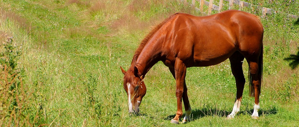 [28%2520July%25206-001%255B3%255D.jpg]