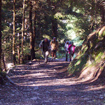 Wanderung mit Wirt Raimund zum Kolmhaus - September 2011