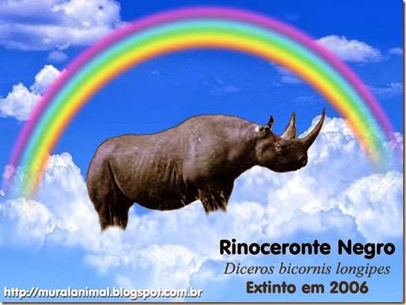 rinoceronte-negro