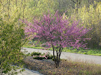 DSCN0965.JPG