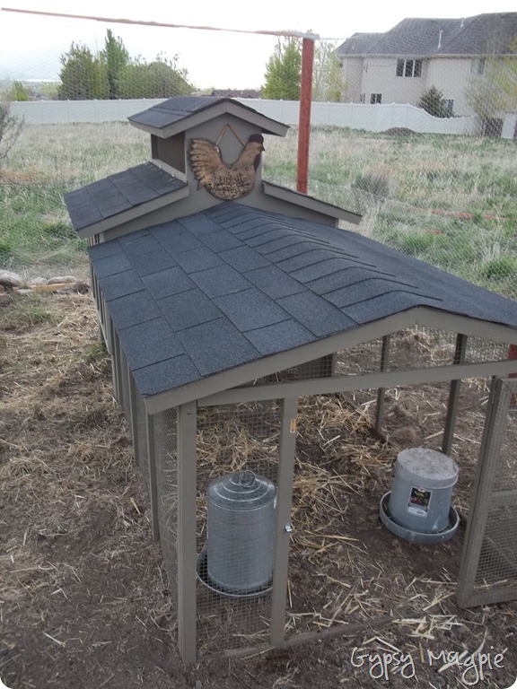 chicken coop