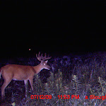 MDGC0028.JPG