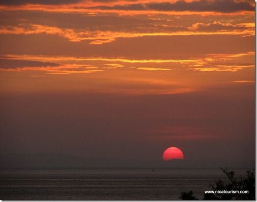 IMG_3644 IMG_3644