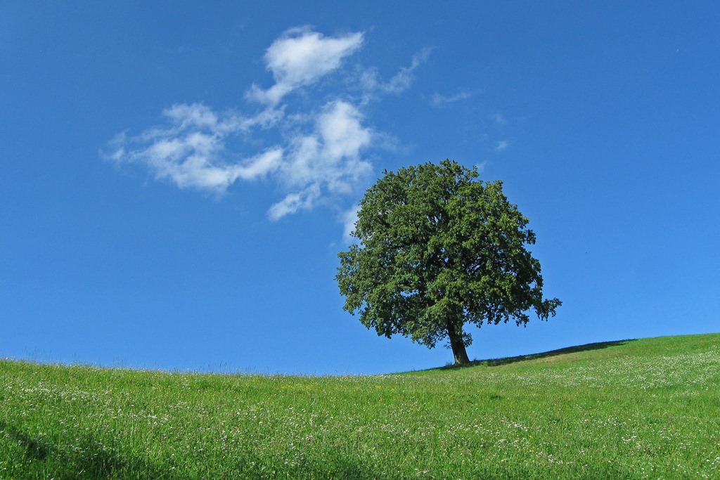 [IMG_3254%255B4%255D.jpg]