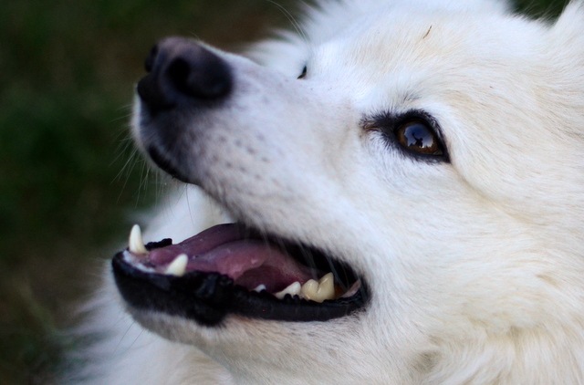 [DSC_0005%255B4%255D.jpg]