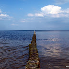 20100822_019_small.JPG