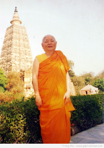 HoaThuongThichMinhChau_05.jpg