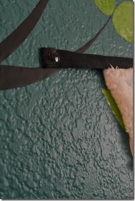 Black thumb tacks 2