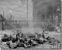 Corpses lying among pieces of wood in preparation for cremation after bloody rioting between Hindus and Muslims2