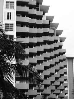 Shadows-of-Miami-7