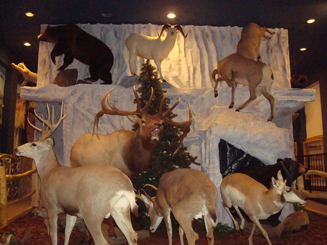 DSC04136 DSC04136