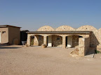 p1238556105(1).jpg