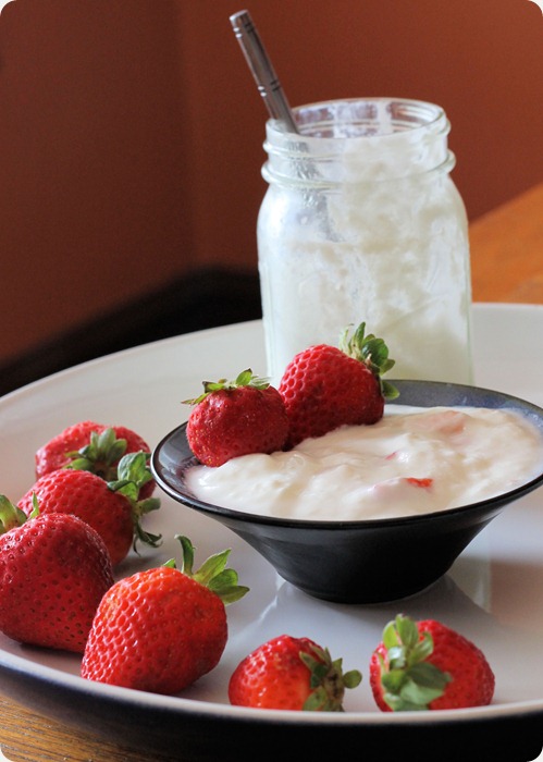 easy_to_make_homemade_yogurt