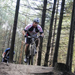 DSC_0101a.jpg