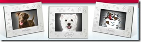 image Pedigree Cesar Temptation Frames