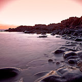 _MG_8949 copy.JPG