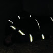 DSCF0069.JPG