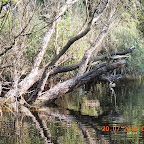 DSCN4449.JPG