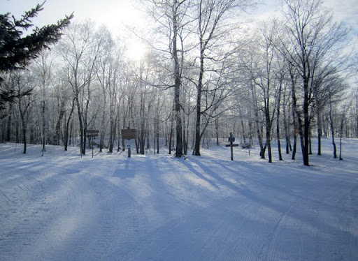 Fresh grooming on the trailhead