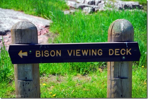 Bison Sign 2