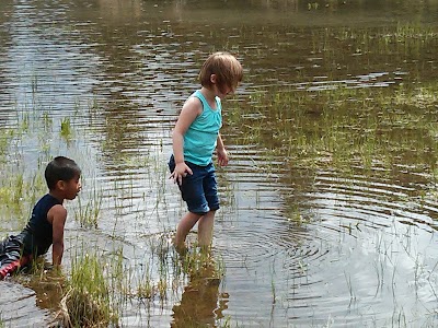 IMG_20130615_150648.jpg