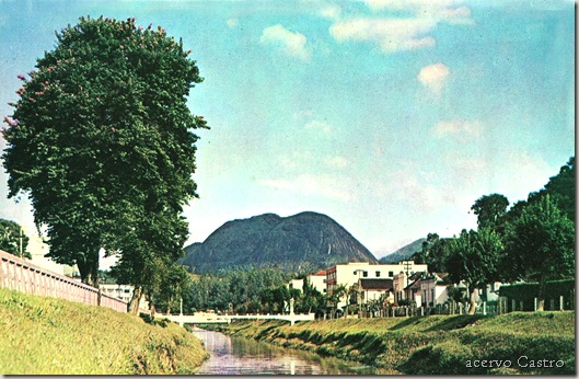 rio bengala_bouganvilias_acervo_castro rio bengala_bouganvilias_acervo_castro