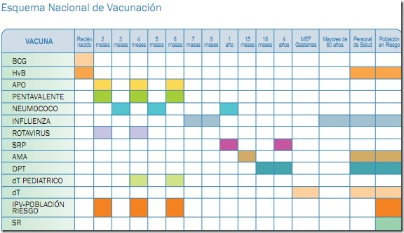 vacunas minsa