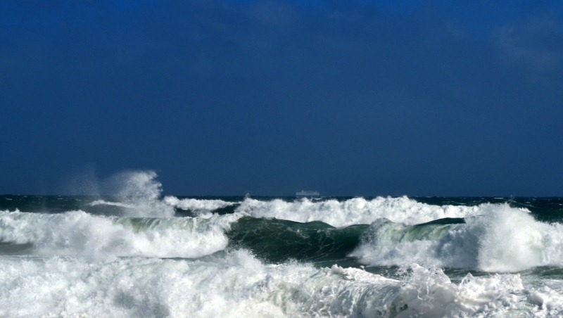 [1-DSC_4484%255B11%255D.jpg]