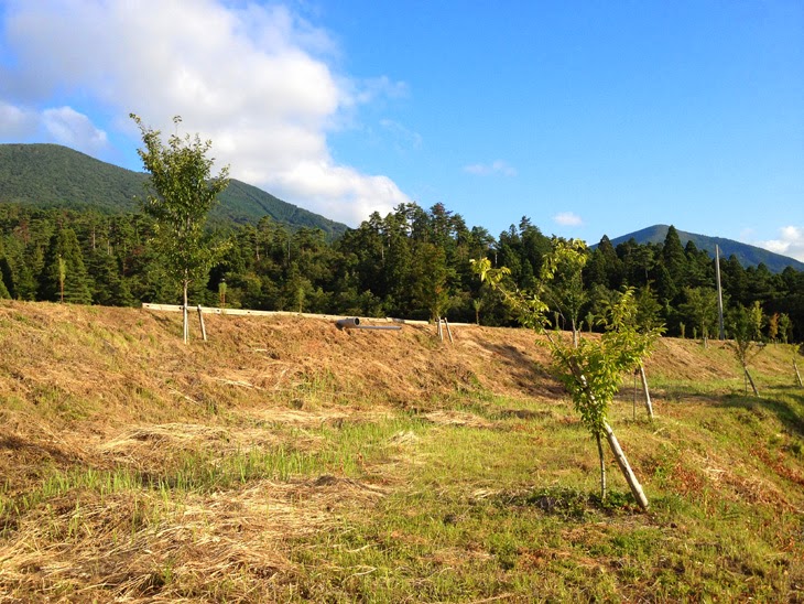 05-GG場から山の視点.jpg 05 GG場から山の視点